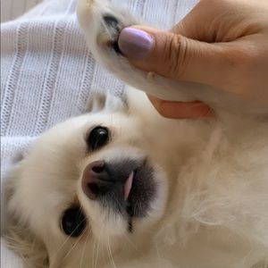 Meet your Posher, Zilin